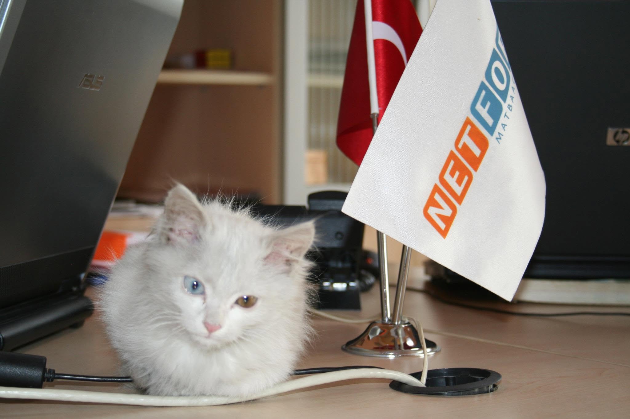 Temel Değerlerimiz
